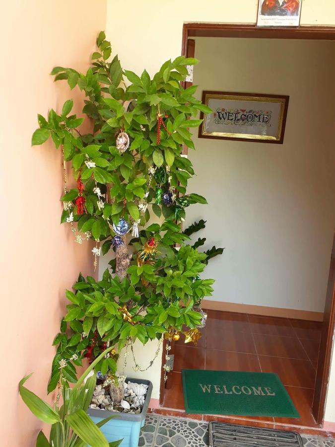 R&E Bed & Breakfast Ivana Zewnętrze zdjęcie